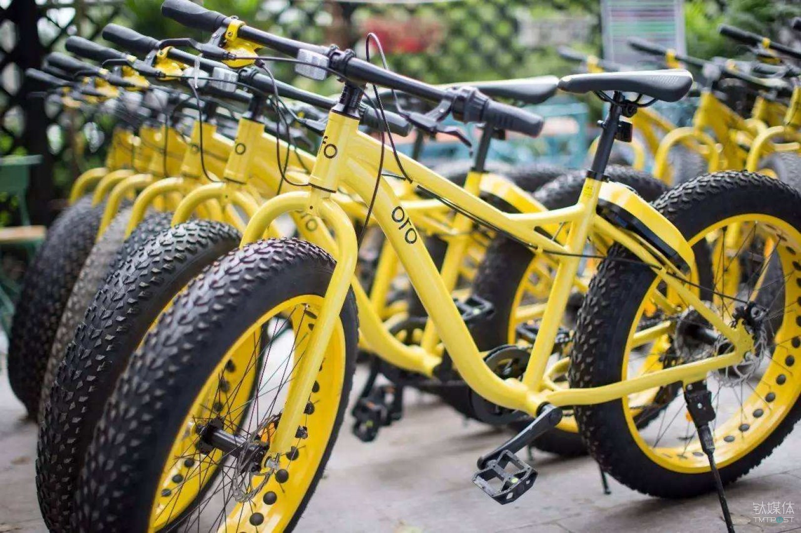 OFO.jpg